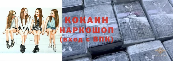 spice Алексин